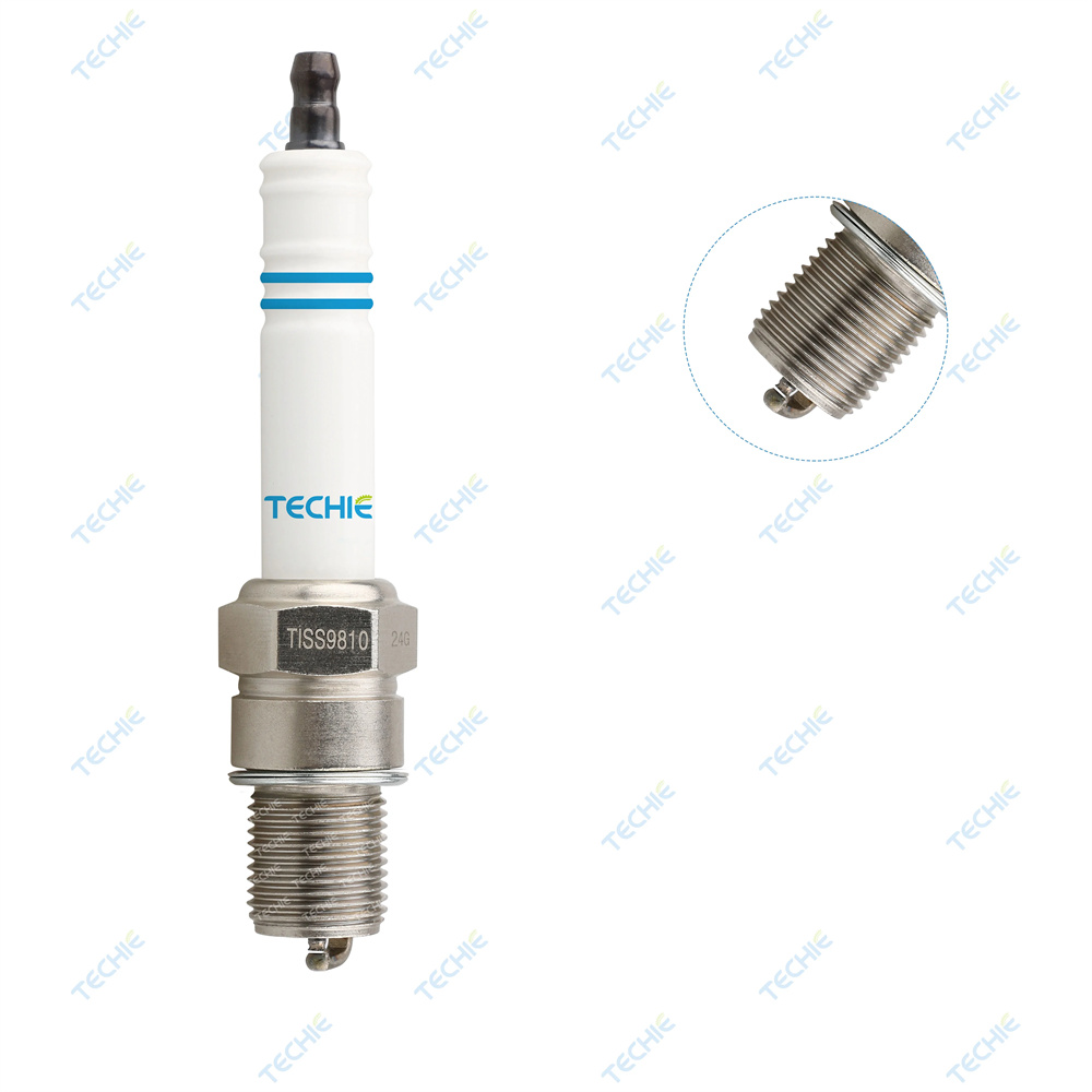 Replaces Champion.jpg